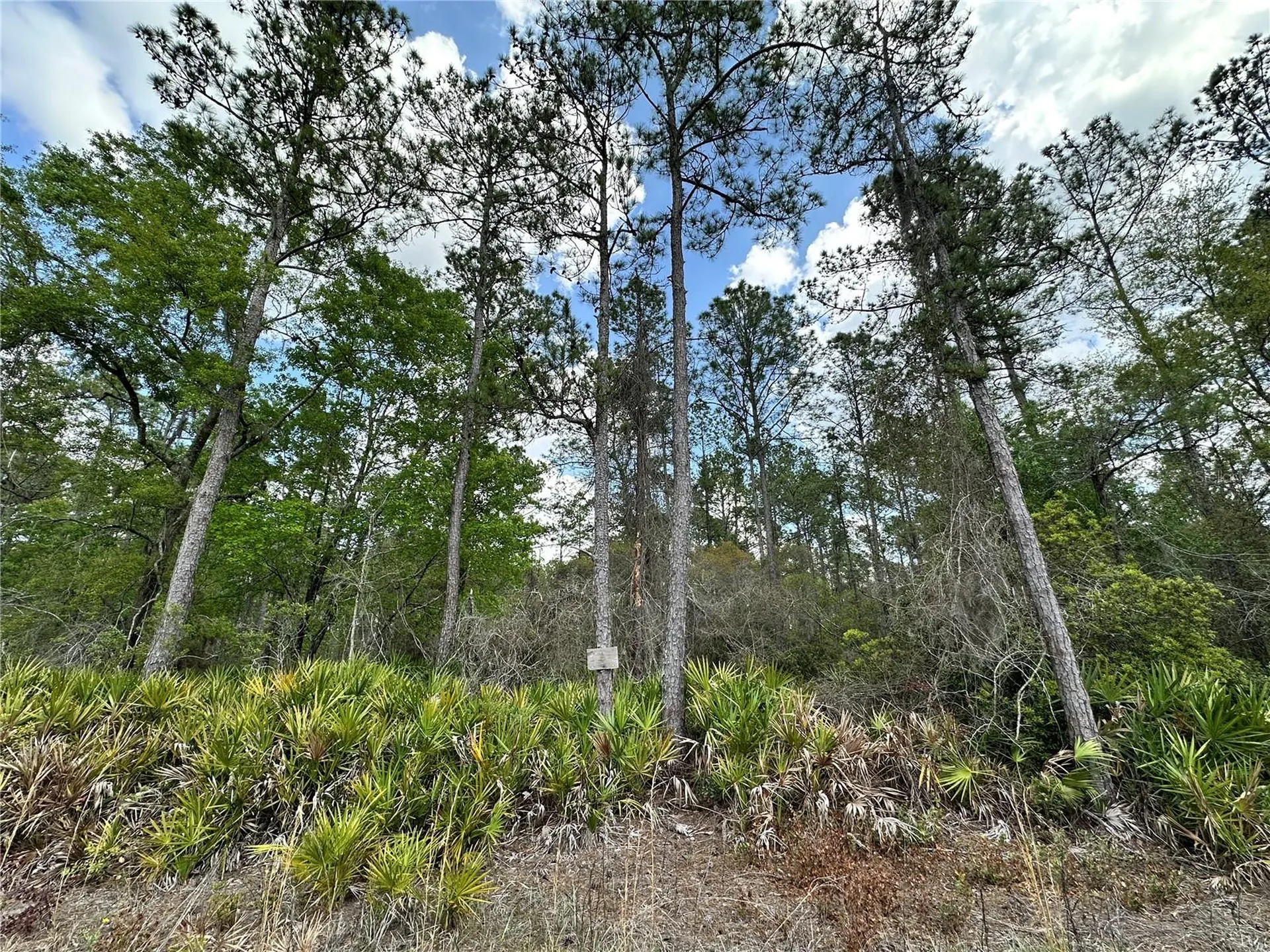 Tbd SE Us Highway 19 Inglis FL 34449