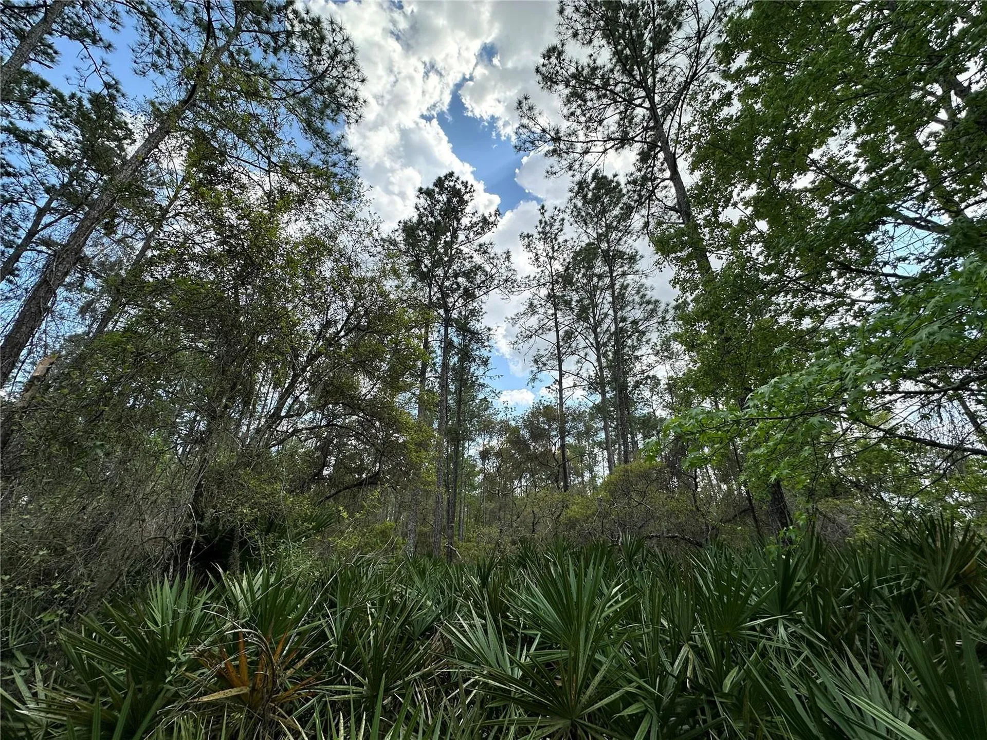 Tbd SE Us Highway 19 Inglis FL 34449