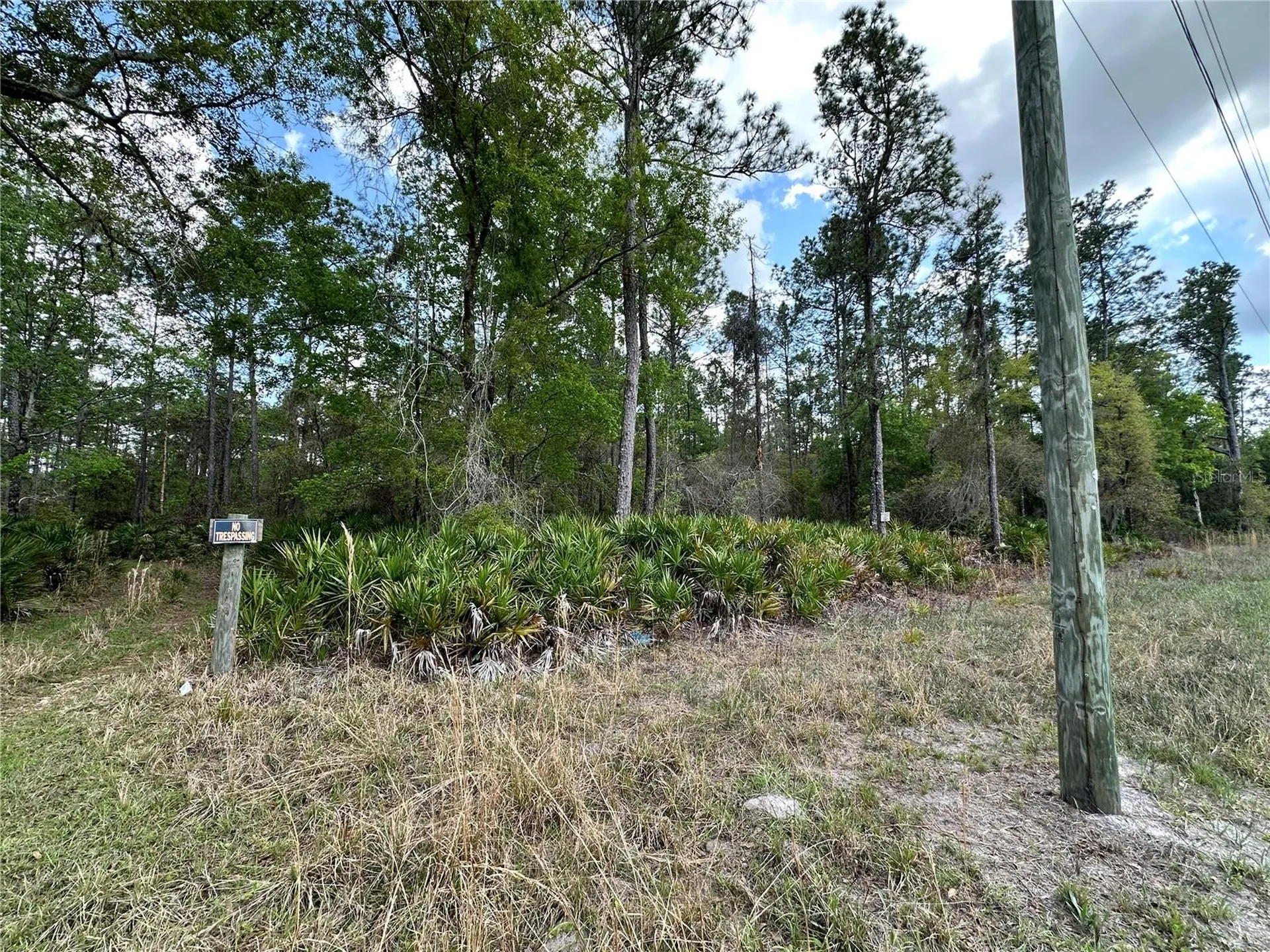 Tbd SE Us Highway 19 Inglis FL 34449