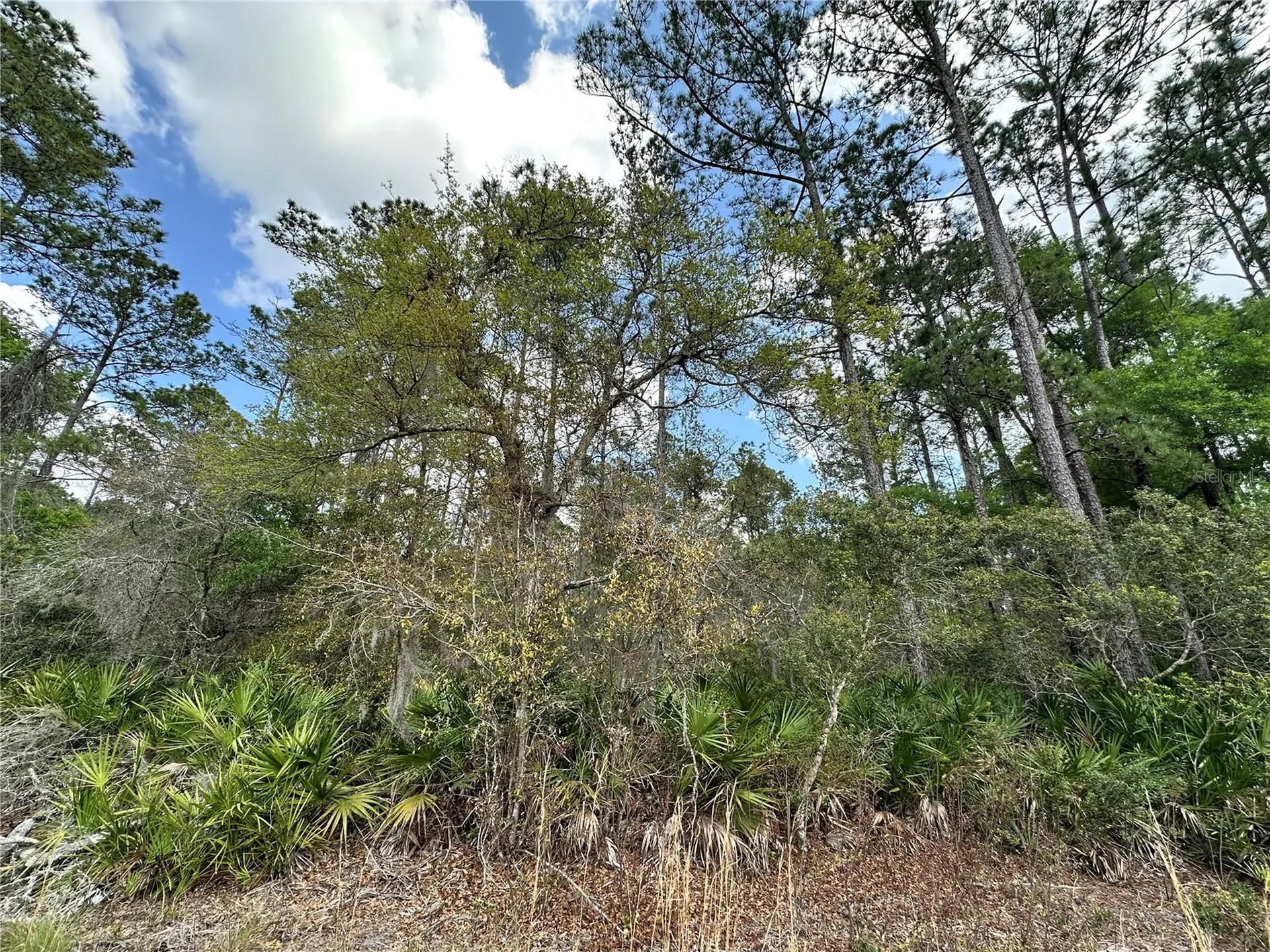 Tbd SE Us Highway 19 Inglis FL 34449