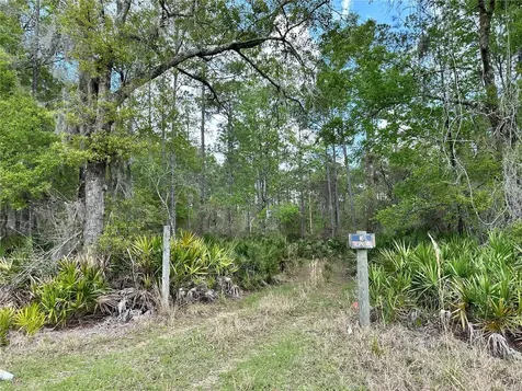 Tbd SE Us Highway 19 Inglis FL 34449