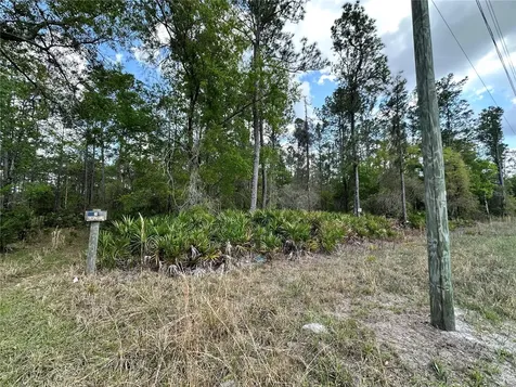 Tbd SE Us Highway 19 Inglis FL 34449