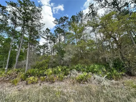 Tbd SE Us Highway 19 Inglis FL 34449