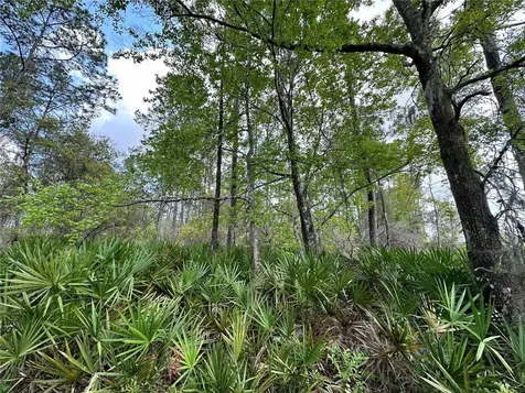 Tbd SE Us Highway 19 Inglis FL 34449