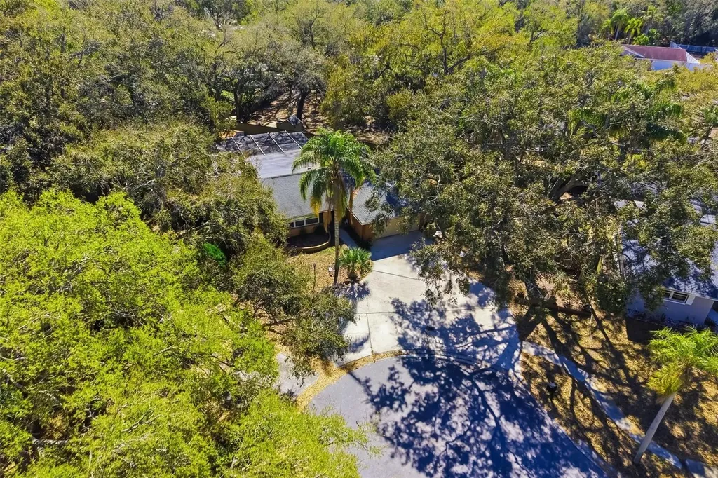 186 Sunward Avenue Palm Harbor FL 34684
