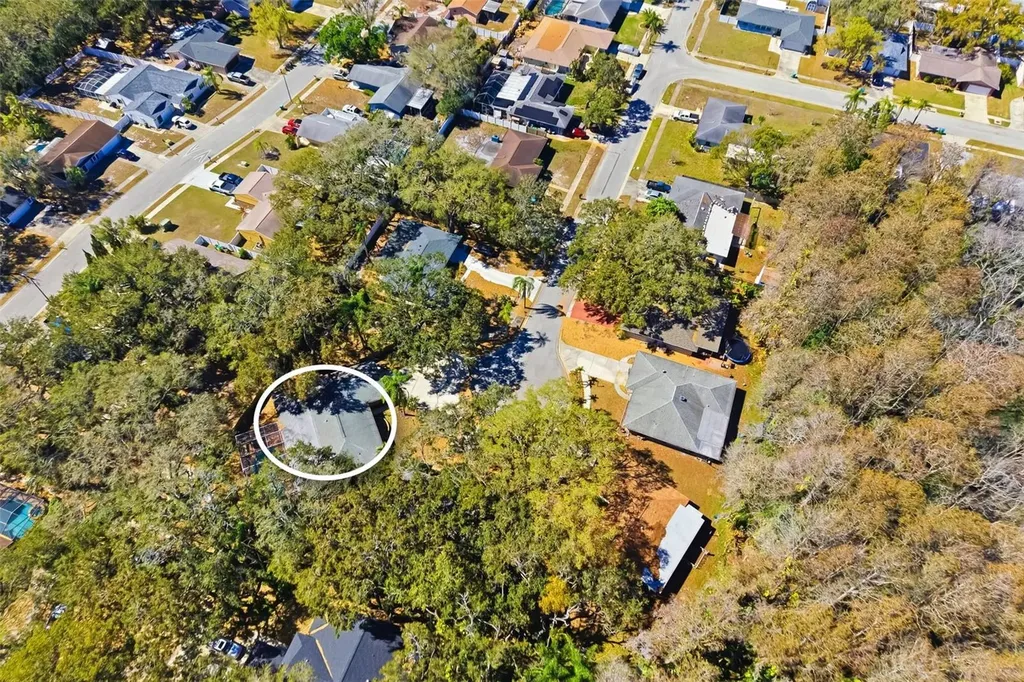 186 Sunward Avenue Palm Harbor FL 34684