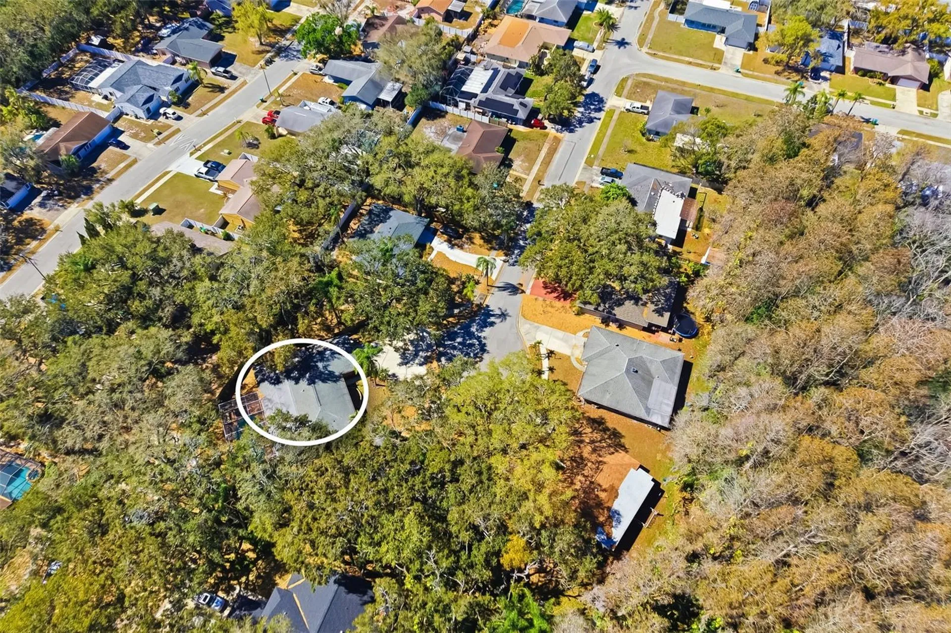 186 Sunward Avenue Palm Harbor FL 34684