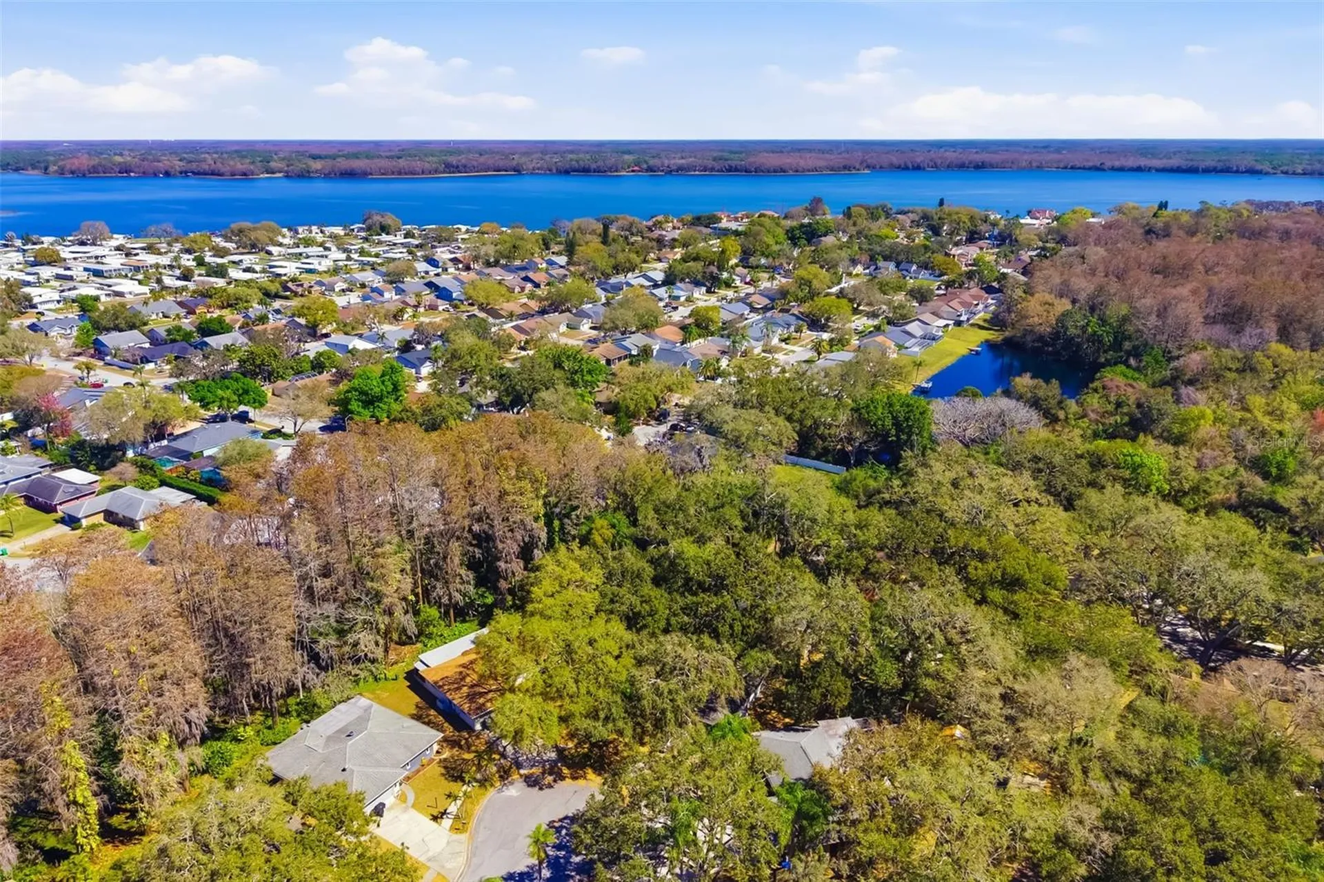 186 Sunward Avenue Palm Harbor FL 34684