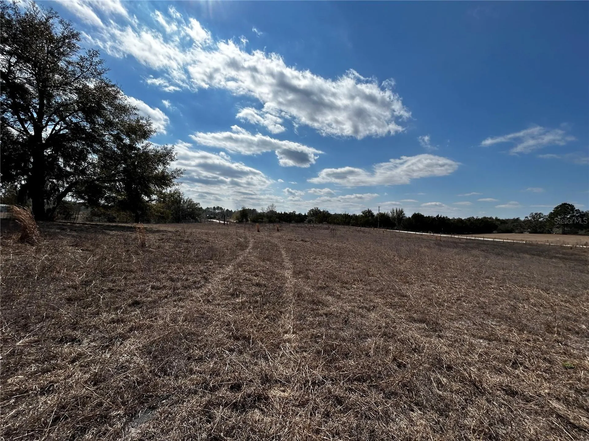 5387 SE 36th Street Trenton FL 32693