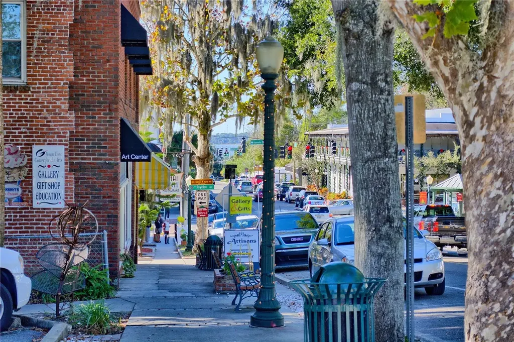 601 N Mcdonald Street Mount Dora FL 32757