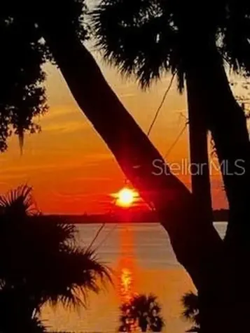 601 N Mcdonald Street Mount Dora FL 32757