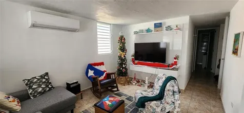Calle 8 Brisas De Ceiba Ceiba PR 00735