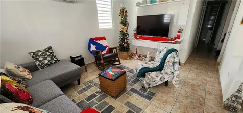 Calle 8 Brisas De Ceiba Ceiba PR 00735