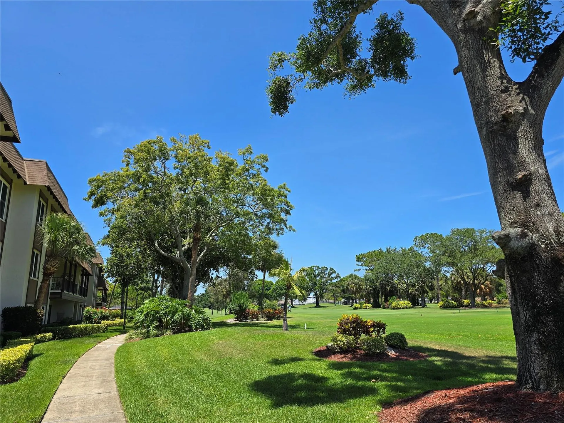 3031 Countryside Boulevard Clearwater FL 33761