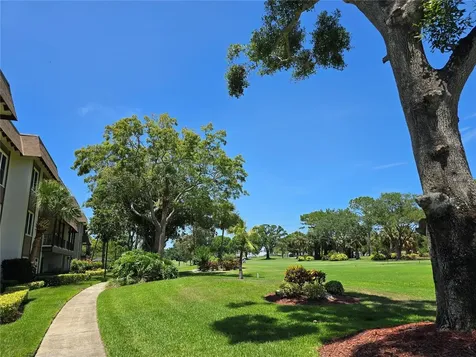 3031 Countryside Boulevard Clearwater FL 33761