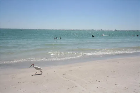 3031 Countryside Boulevard Clearwater FL 33761