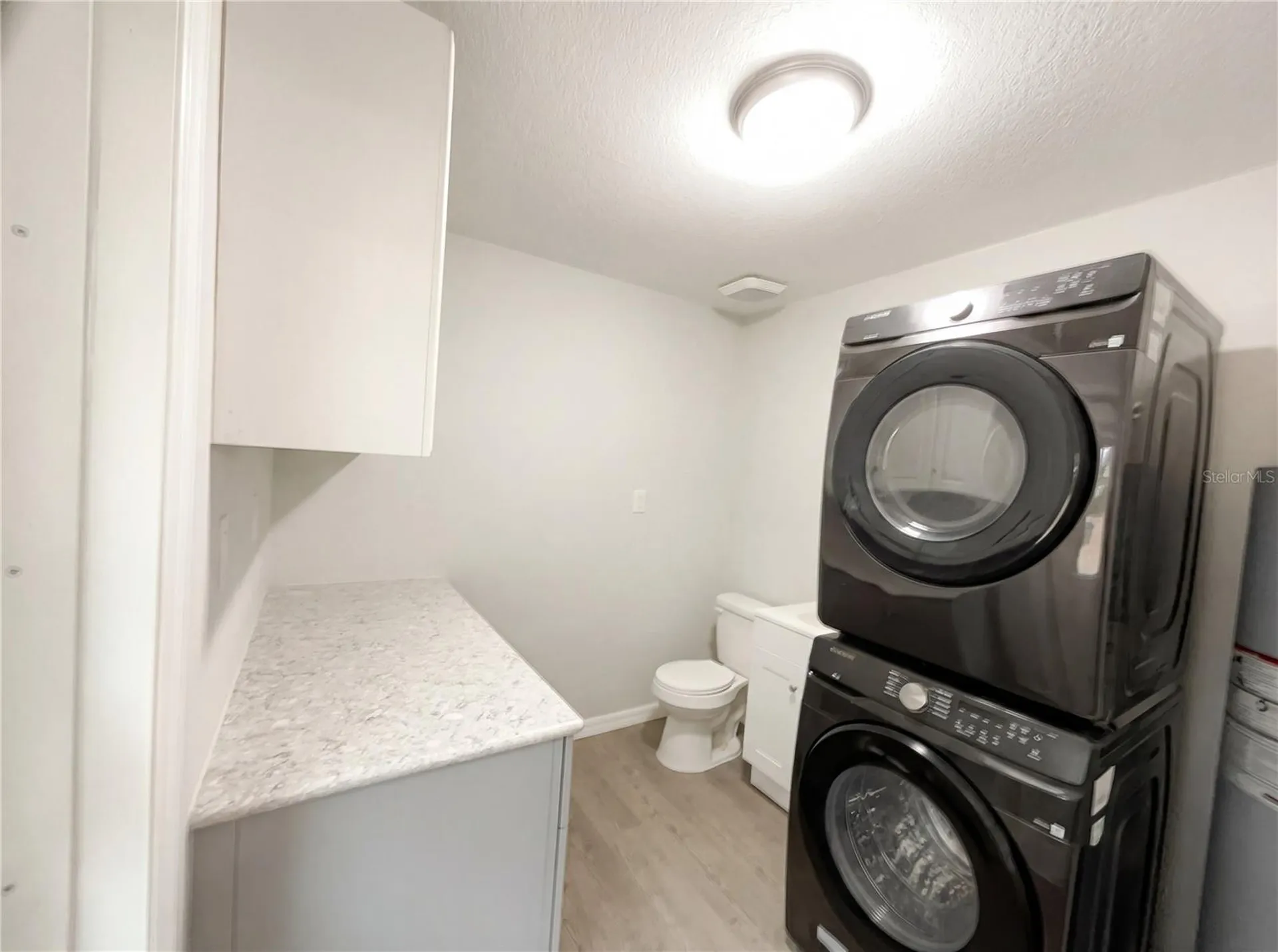 806 Wedgewood Drive Mount Dora FL 32757