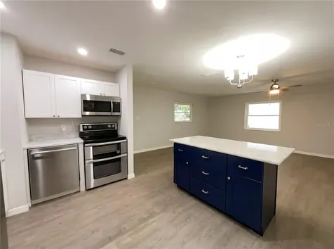 806 Wedgewood Drive Mount Dora FL 32757