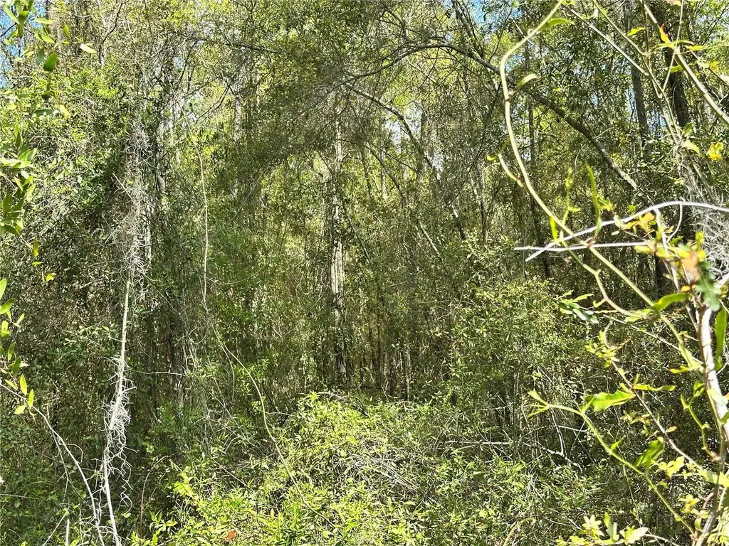 Tbd Hardee Street Bronson FL 32621