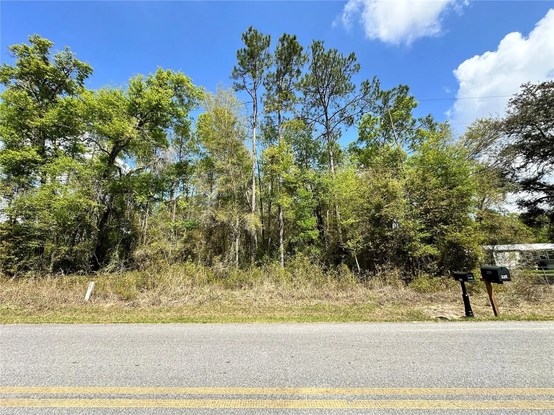 Tbd Hardee Street Bronson FL 32621