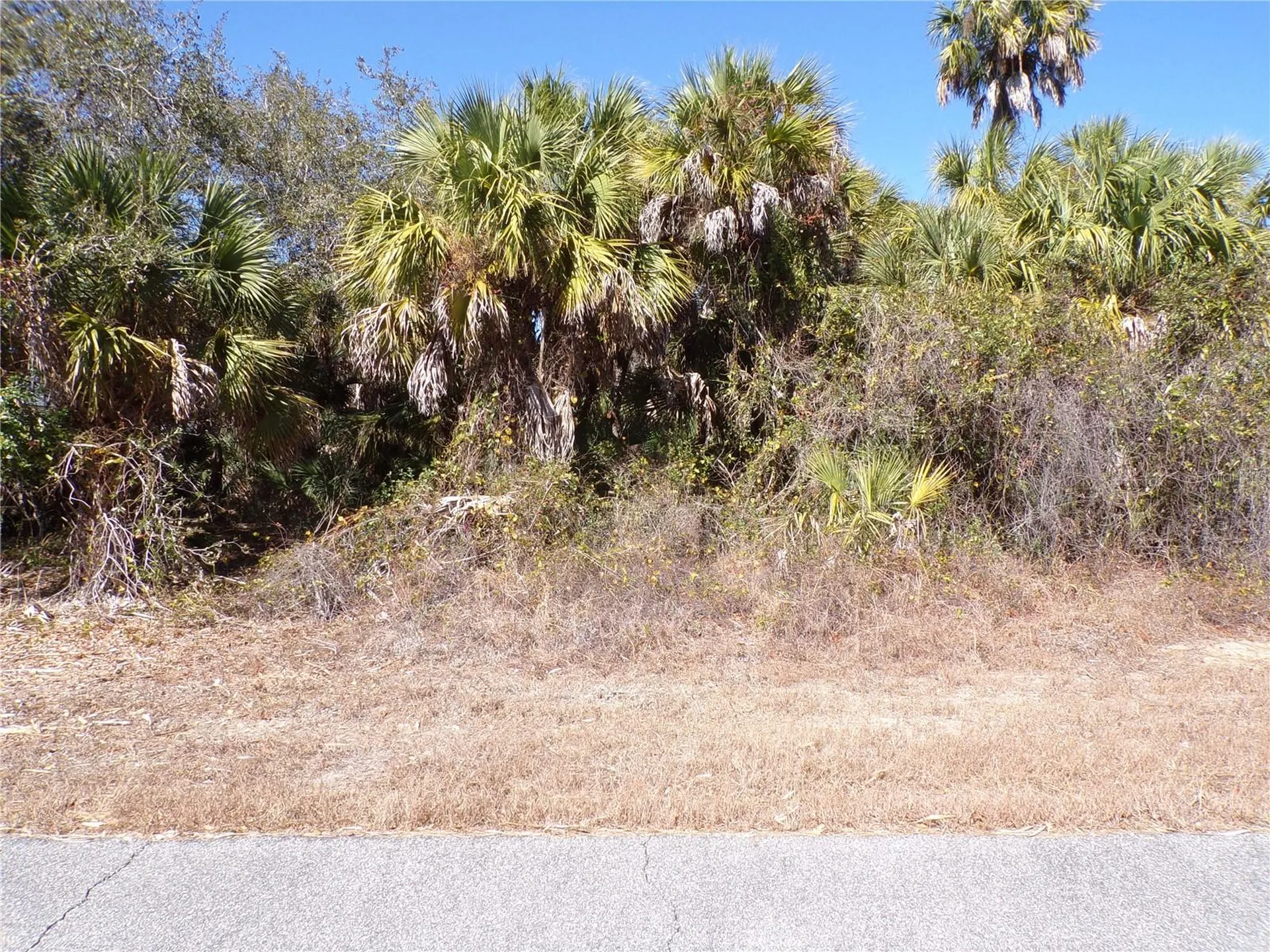 Las Almanos Avenue North Port FL 34288