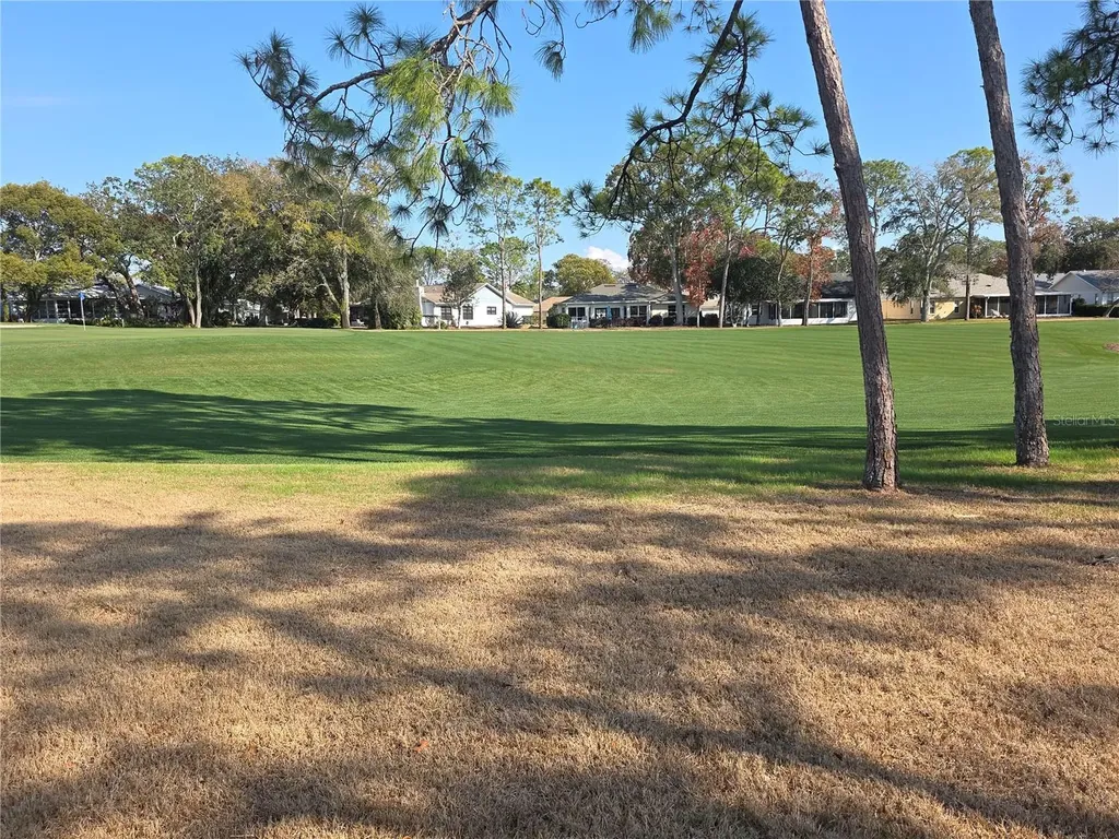 2376 Bent Pine Court Spring Hill FL 34606