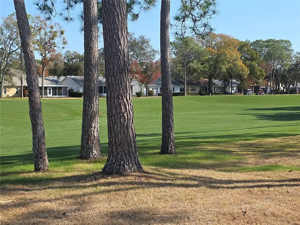 2376 Bent Pine Court Spring Hill FL 34606