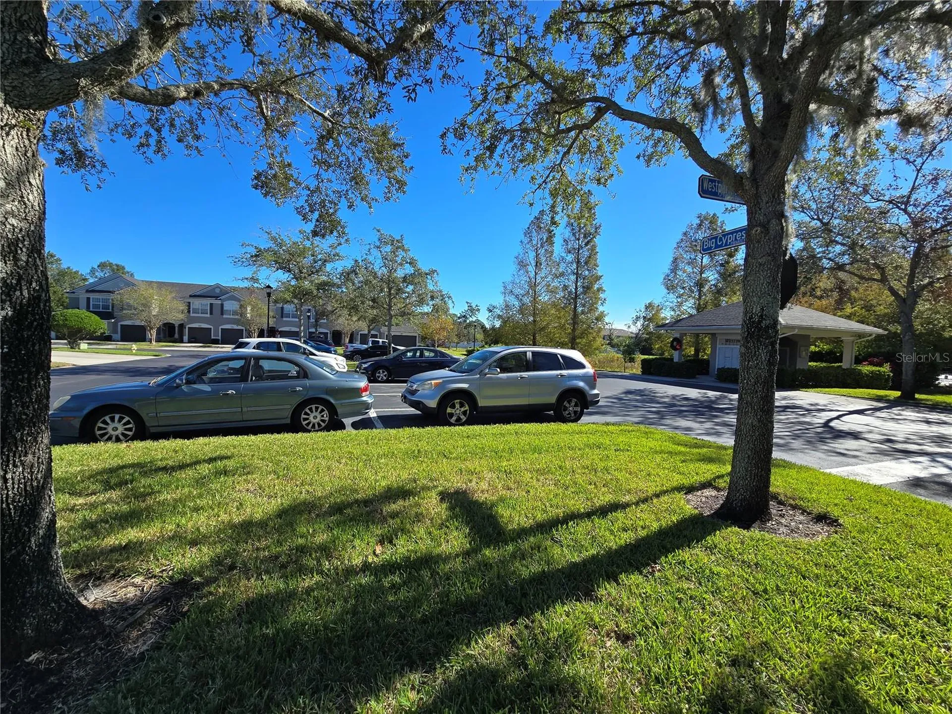 10114 Westpark Preserve Boulevard Tampa FL 33625