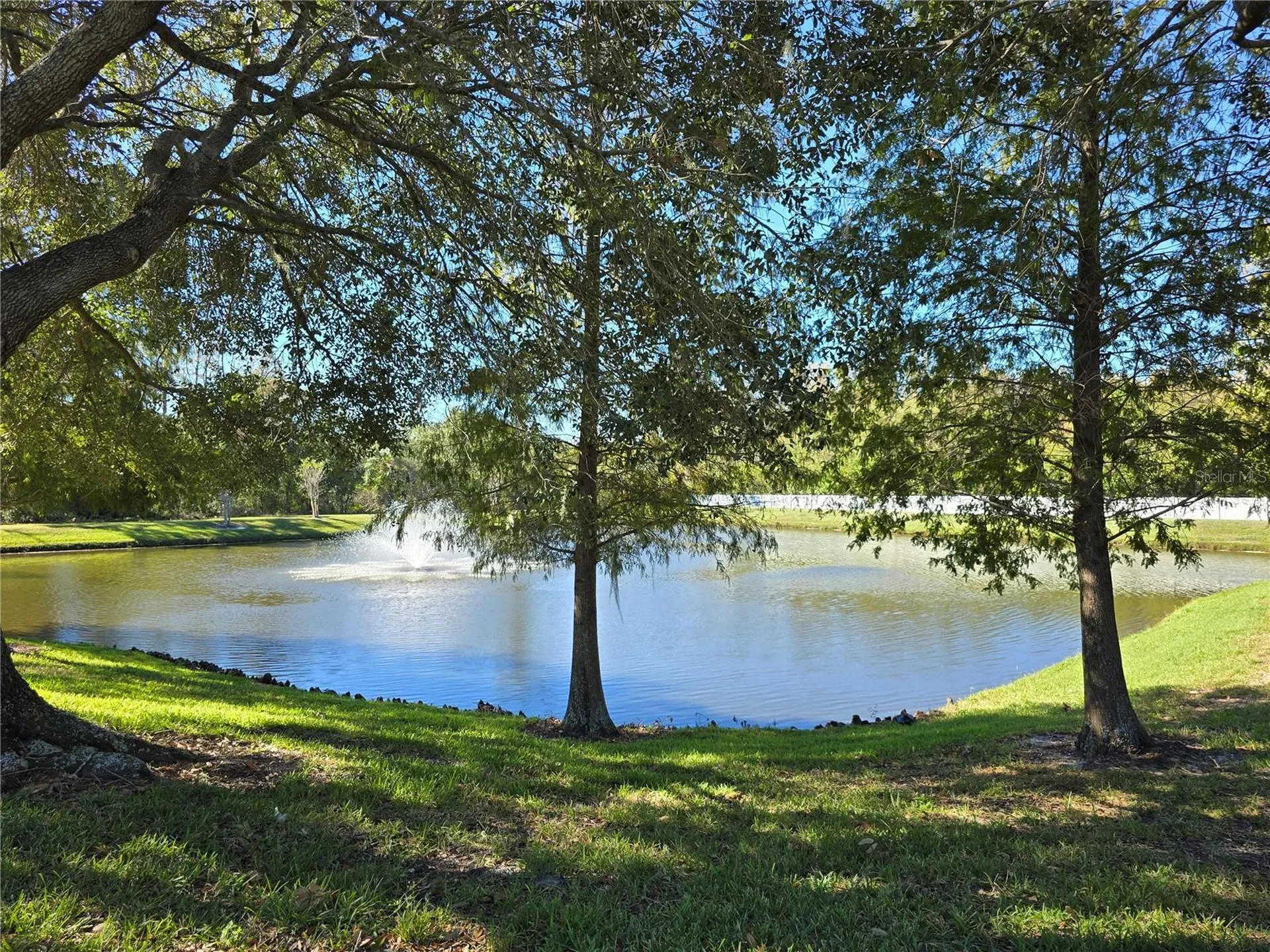 10114 Westpark Preserve Boulevard Tampa FL 33625
