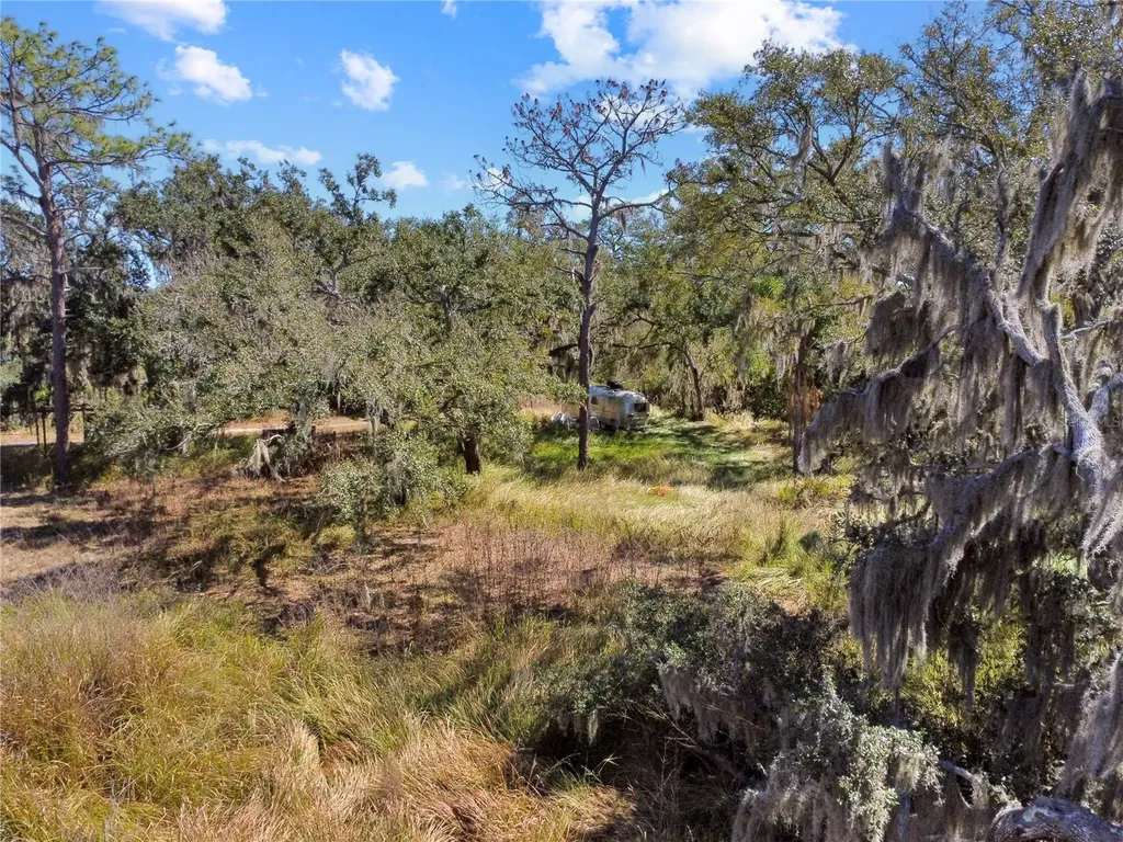 12111 Fred Drive Riverview FL 33578