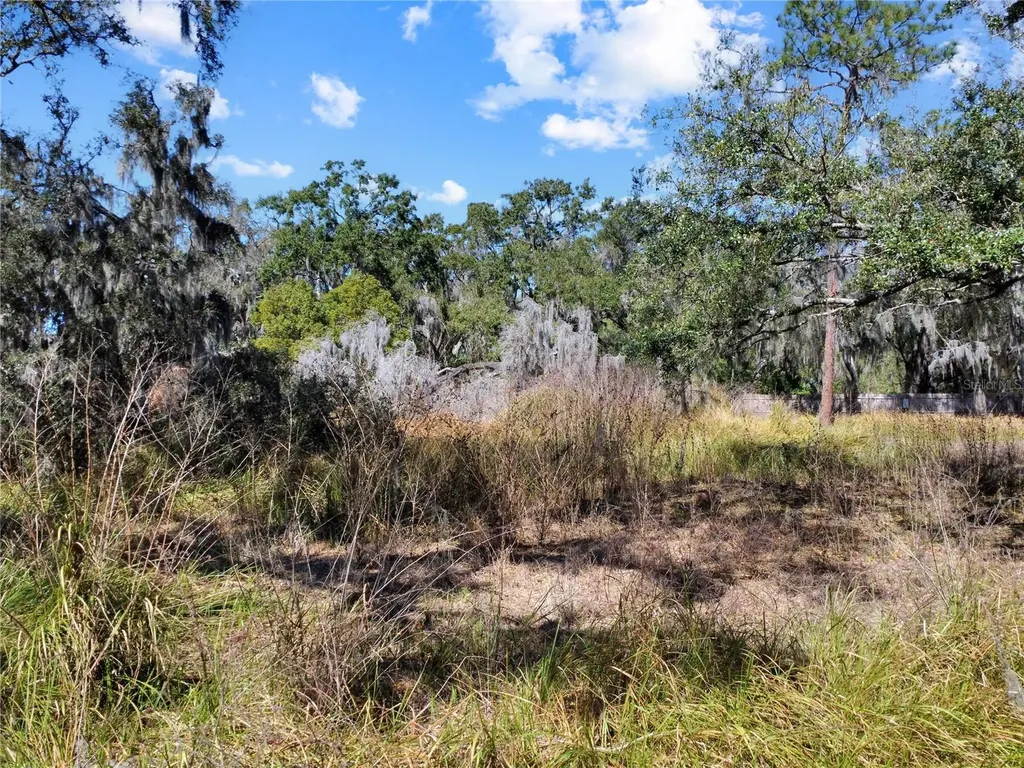 12111 Fred Drive Riverview FL 33578