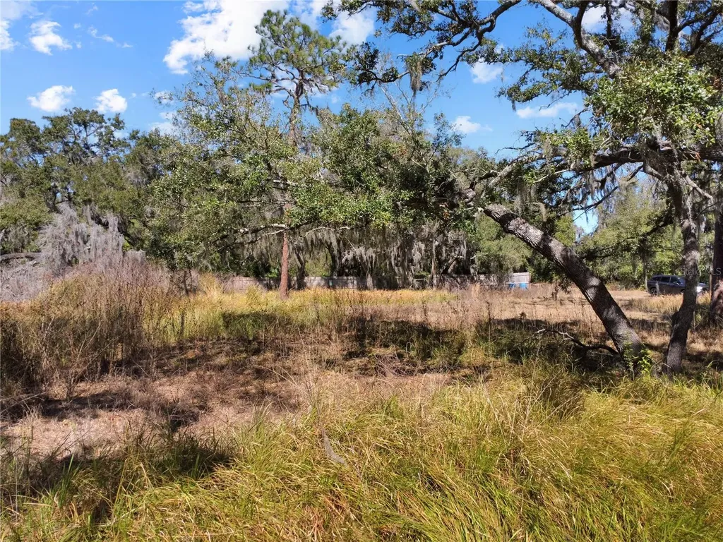 12111 Fred Drive Riverview FL 33578