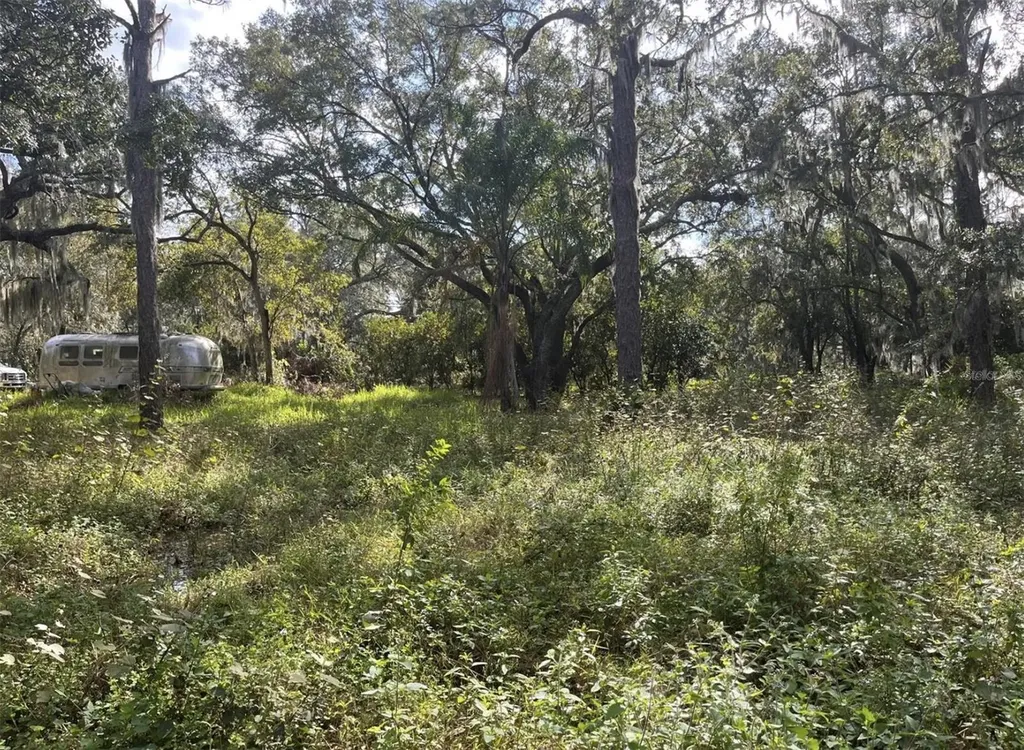 12111 Fred Drive Riverview FL 33578