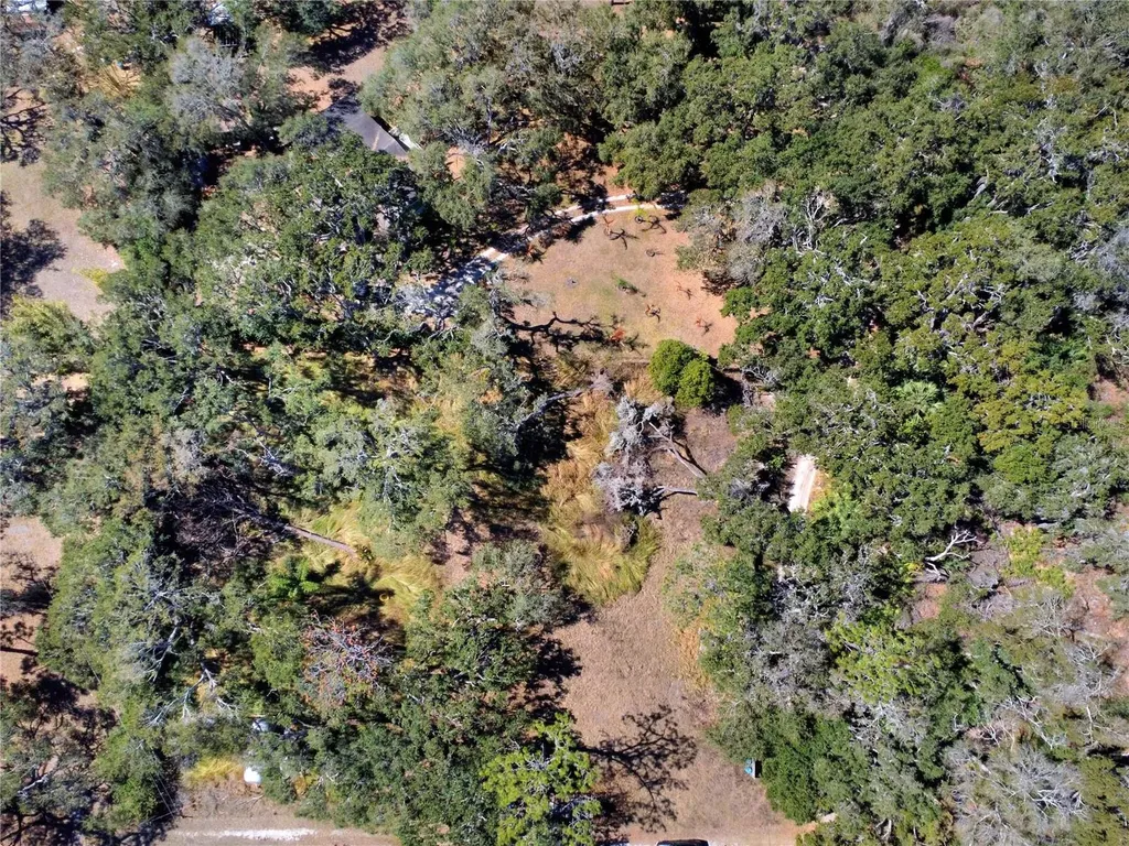 12111 Fred Drive Riverview FL 33578