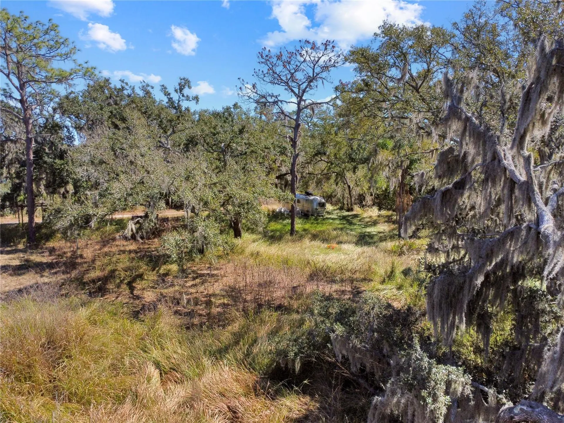 12111 Fred Drive Riverview FL 33578