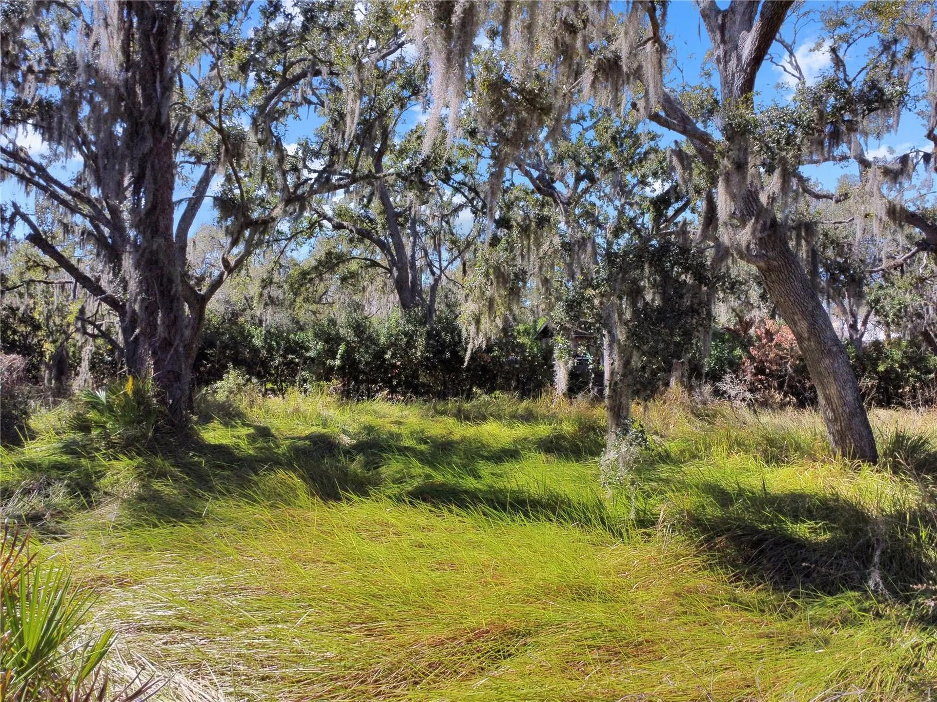 12111 Fred Drive Riverview FL 33578