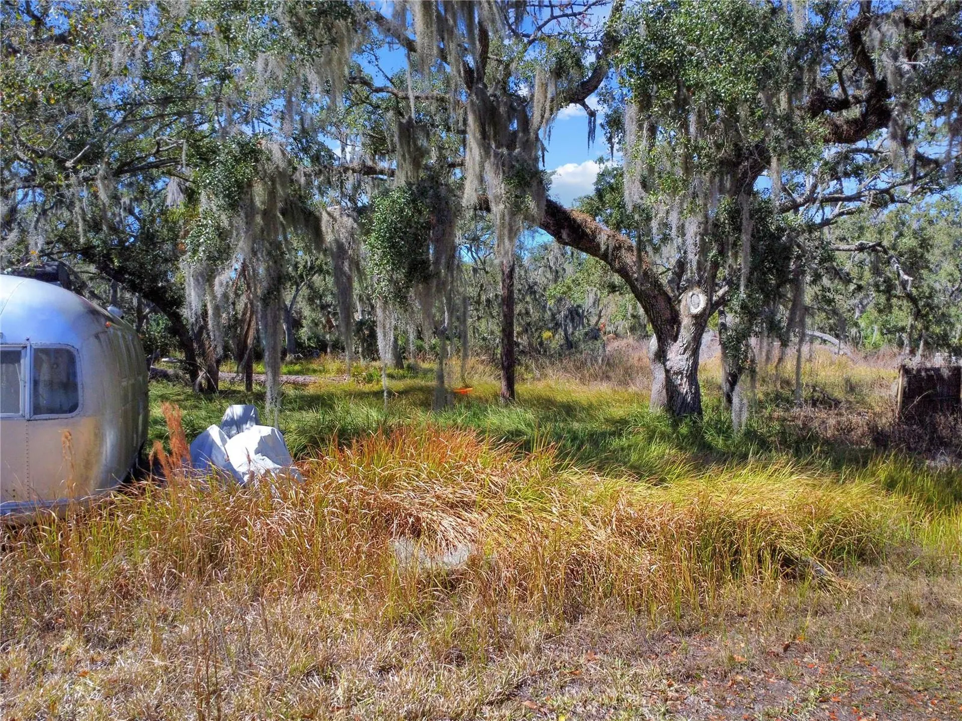12111 Fred Drive Riverview FL 33578