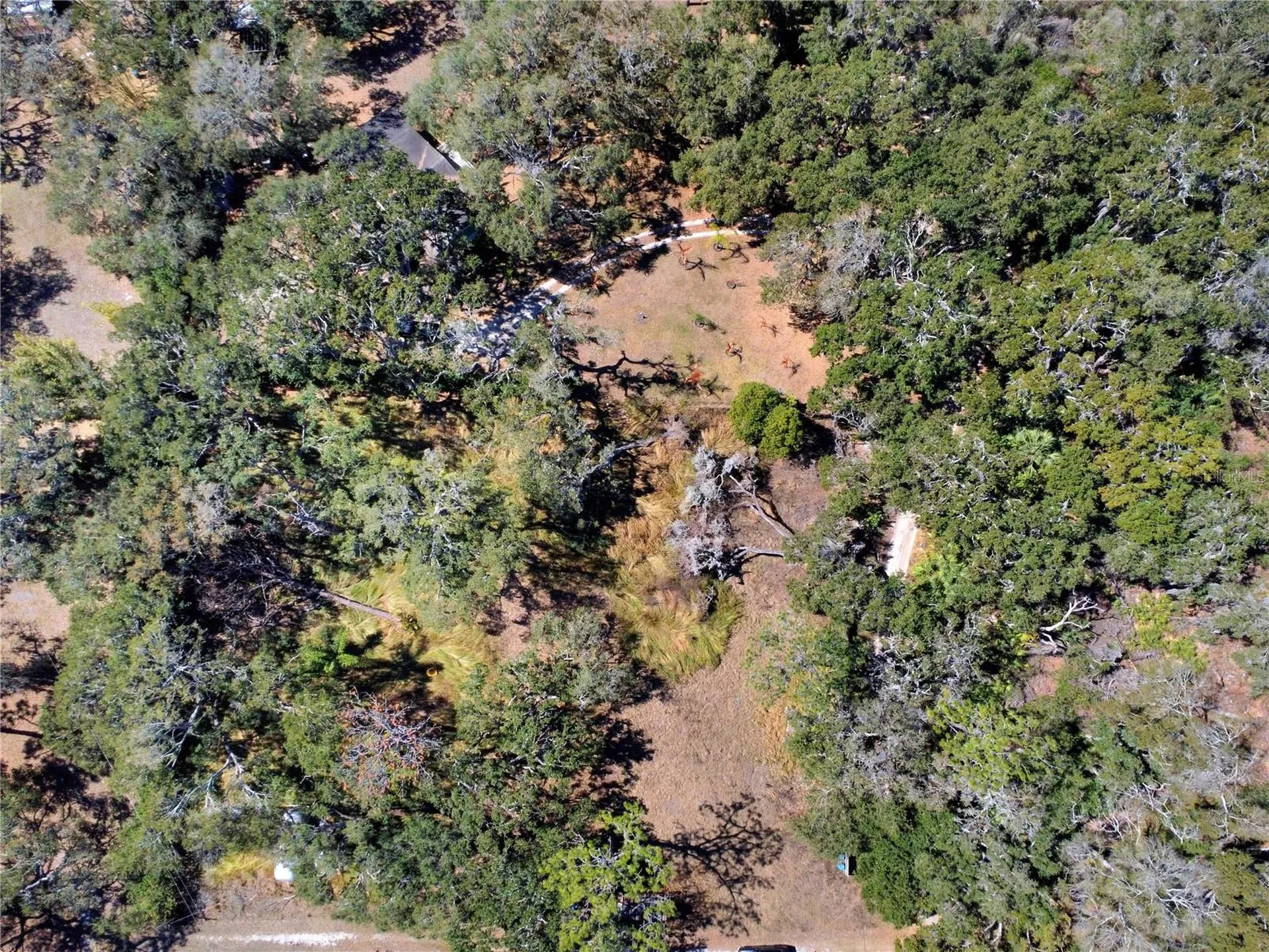 12111 Fred Drive Riverview FL 33578