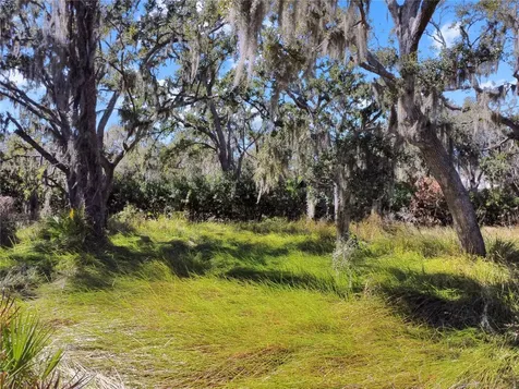 12111 Fred Drive Riverview FL 33578