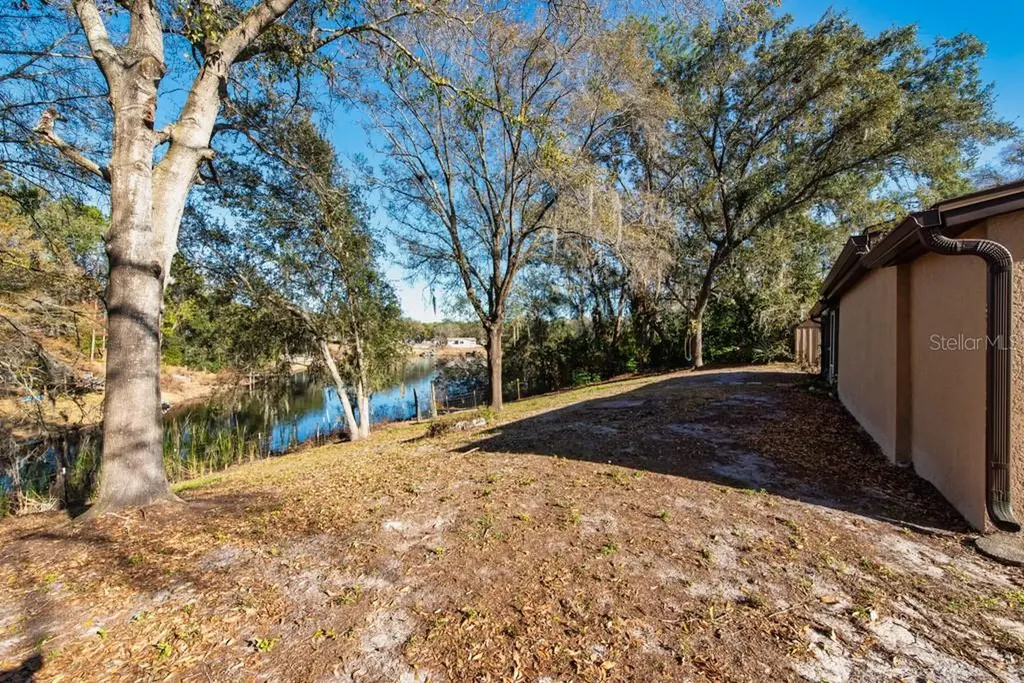 16123 E Lake Burrell Drive Lutz FL 33549