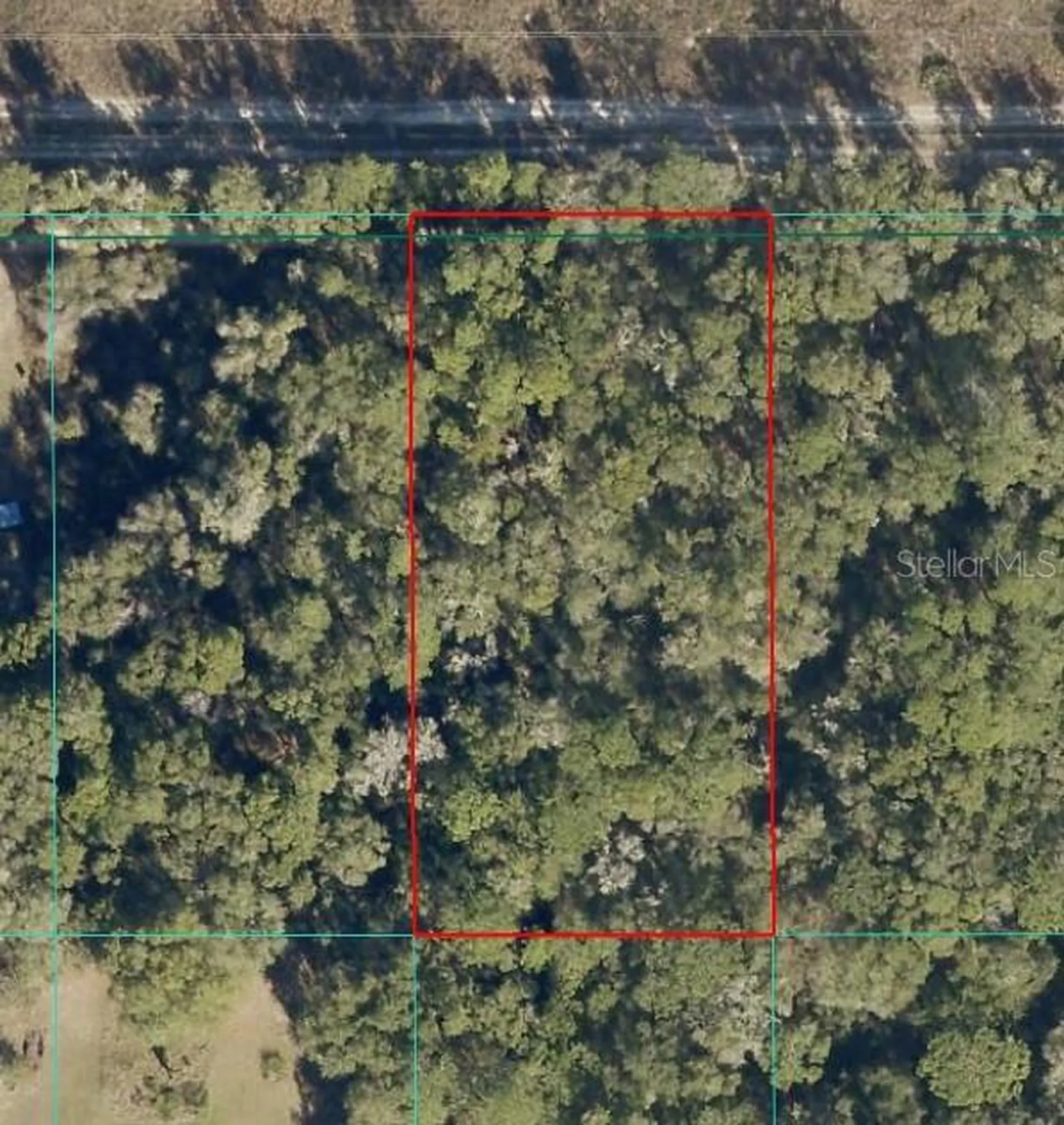 Tract 15 SW 150th Street Dunnellon FL 34433