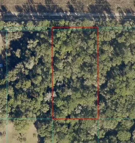 Tract 15 SW 150th Street Dunnellon FL 34433