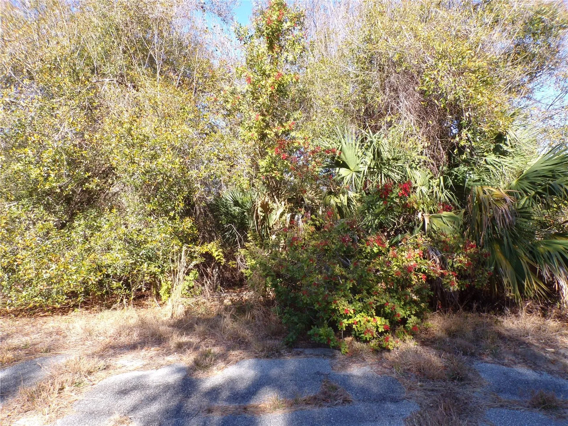 Hastings Street North Port FL 34288