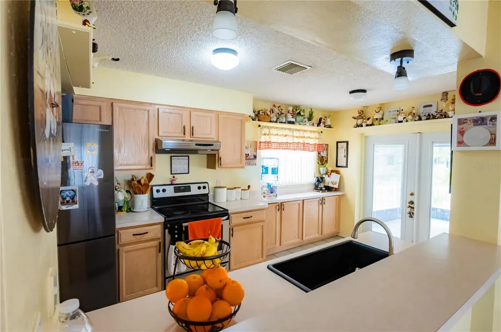 716 Burlwood Street Brandon FL 33511