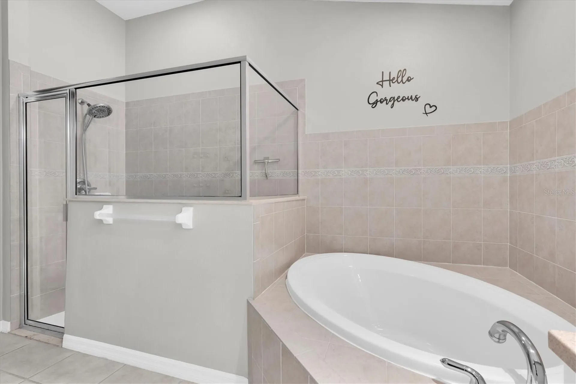 16314 Bridgeglade Lane Lithia FL 33547