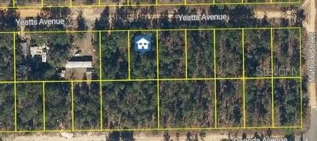 111 Yeatts Avenue Interlachen FL 32148