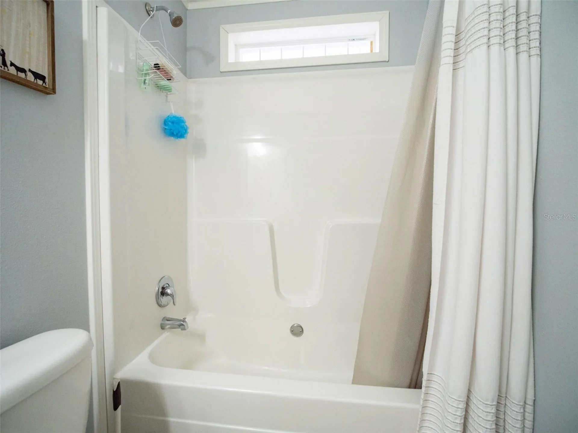 5431 163rd Path Live Oak FL 32060