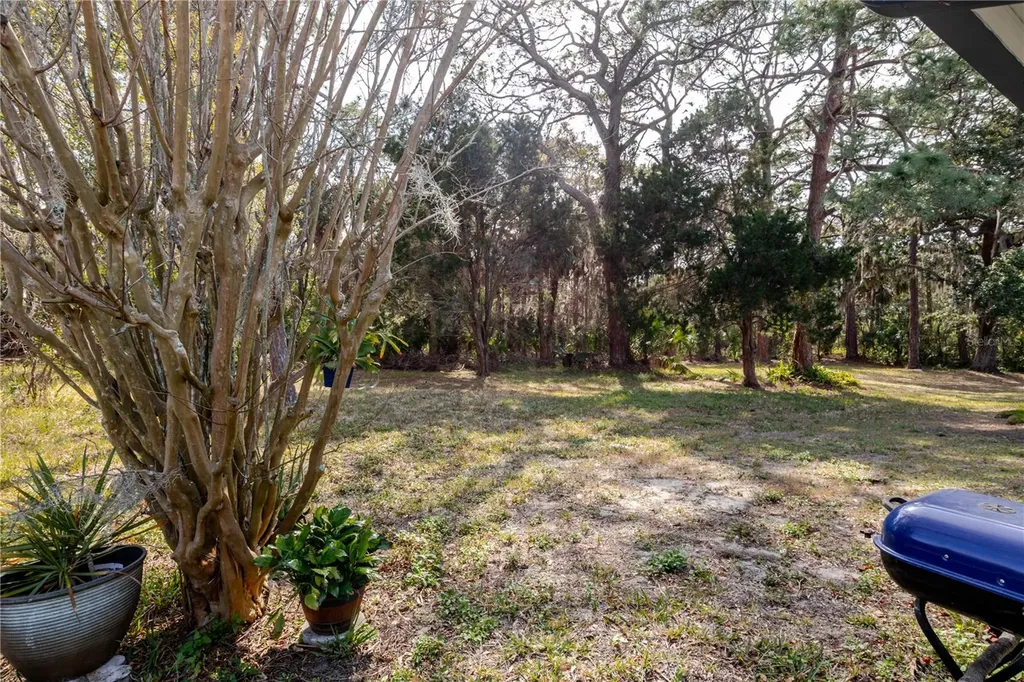 4876 Shell Stream Boulevard New Port Richey FL 34652