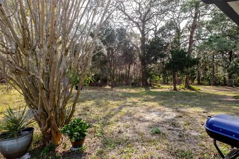 4876 Shell Stream Boulevard New Port Richey FL 34652