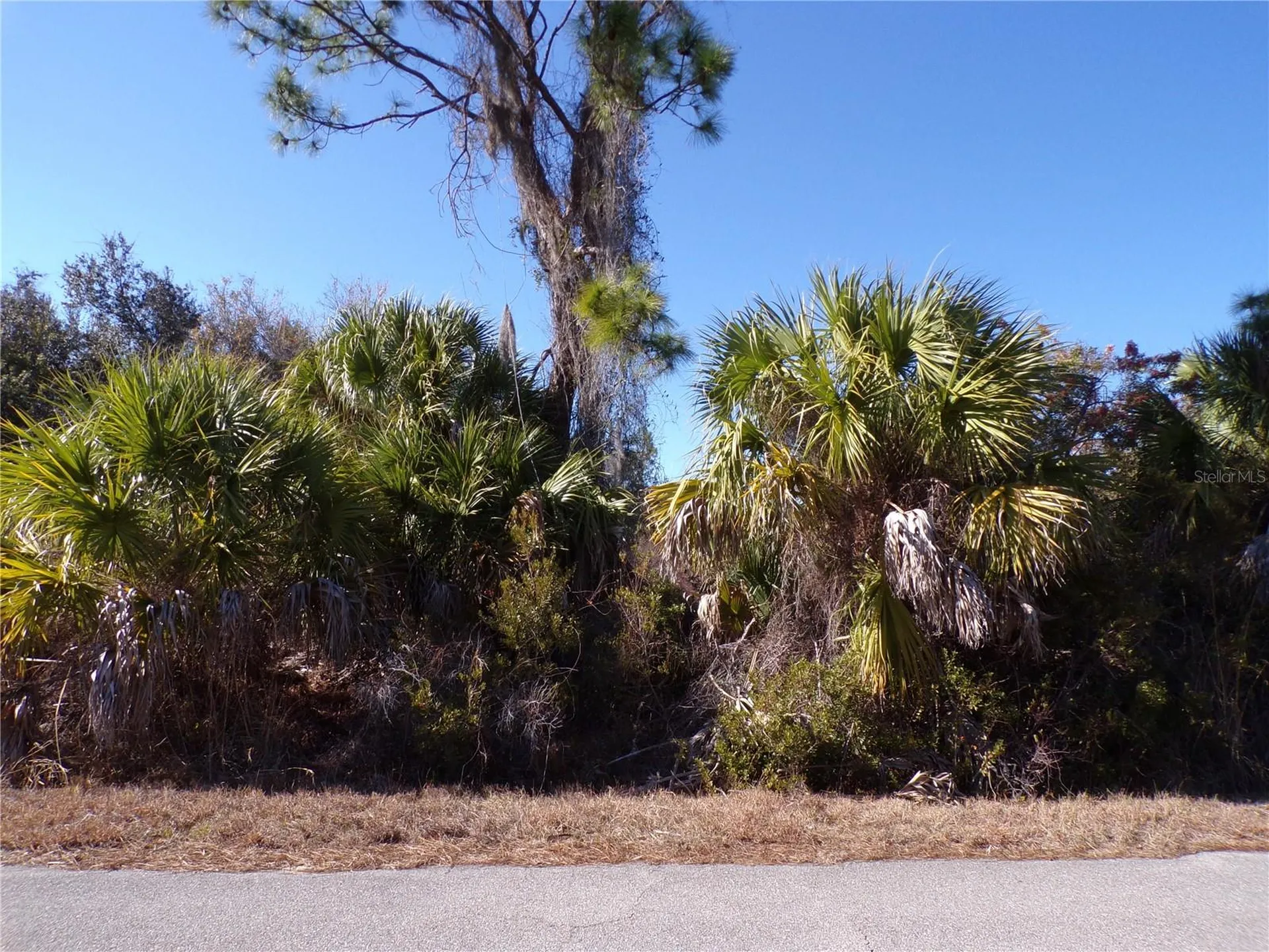 Casco Circle North Port FL 34288